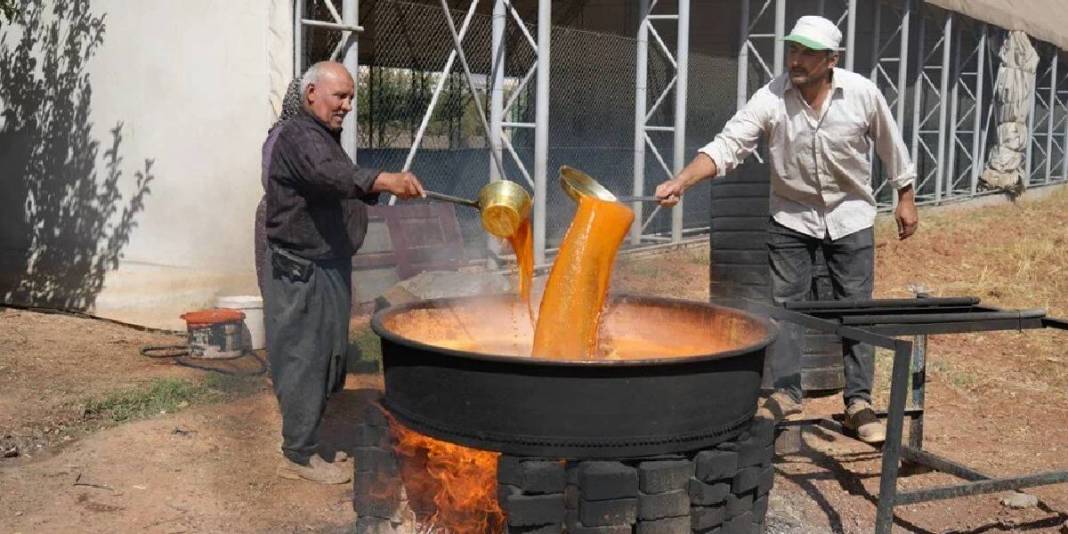 Bağlardan toplanıp, imece usulü sıkılıyor! Kazan kazan kaynıyor, litresi 500 liraya satılıyor 1